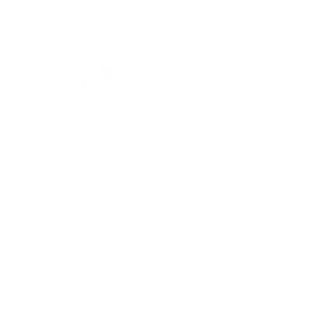 Kara Laser LLC